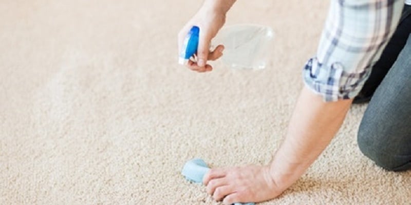 halidaki leke nasil cikar aktepe hali yikama